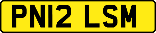PN12LSM