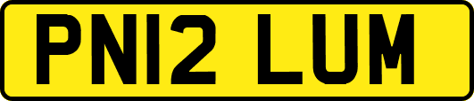 PN12LUM