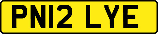 PN12LYE