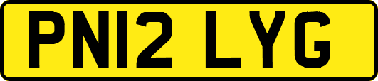 PN12LYG