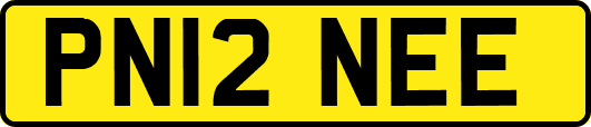PN12NEE