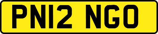 PN12NGO