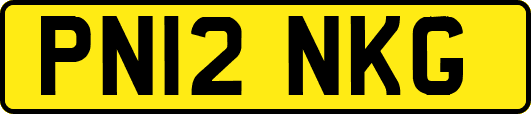 PN12NKG