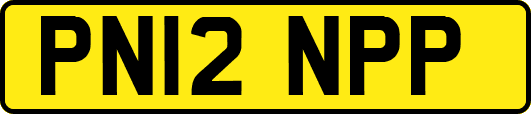 PN12NPP