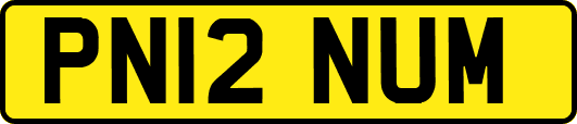 PN12NUM