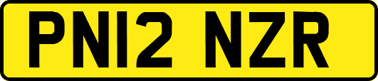 PN12NZR