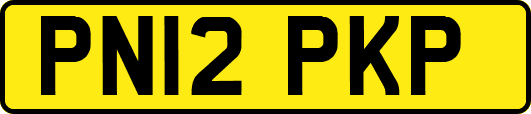 PN12PKP