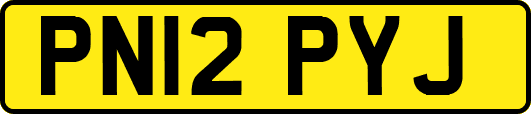 PN12PYJ