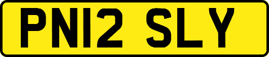 PN12SLY