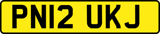 PN12UKJ