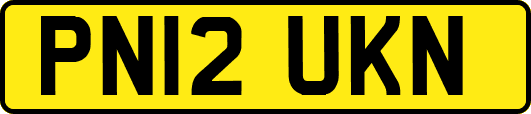 PN12UKN