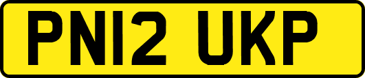PN12UKP