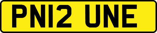 PN12UNE