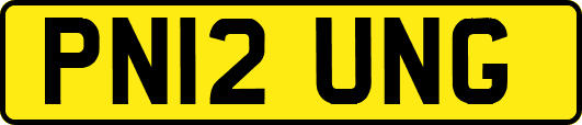 PN12UNG