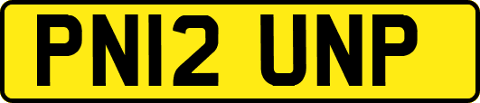 PN12UNP