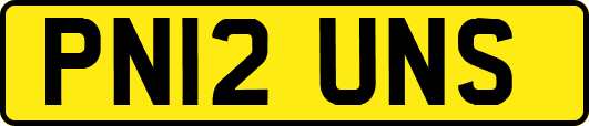 PN12UNS