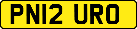 PN12URO