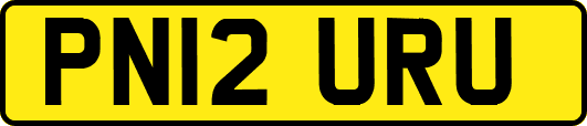 PN12URU