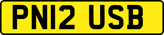 PN12USB