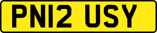 PN12USY