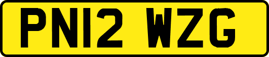 PN12WZG