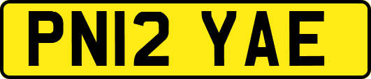 PN12YAE