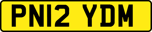 PN12YDM