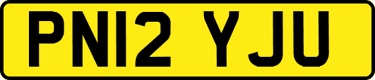 PN12YJU