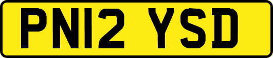 PN12YSD