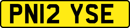 PN12YSE