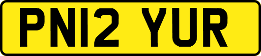 PN12YUR
