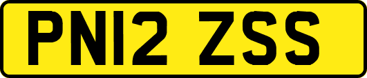 PN12ZSS