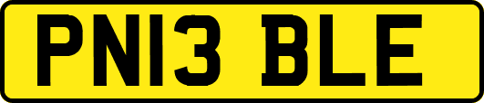 PN13BLE