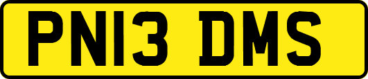 PN13DMS