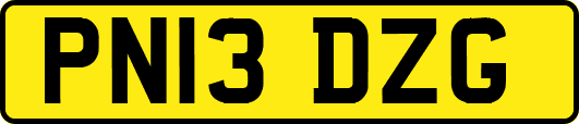 PN13DZG