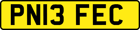 PN13FEC
