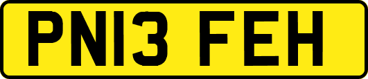PN13FEH