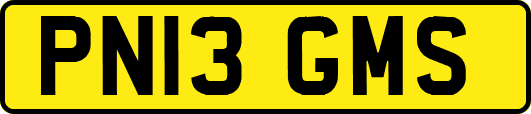 PN13GMS