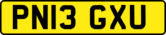 PN13GXU