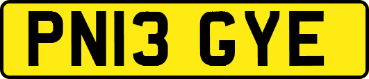 PN13GYE