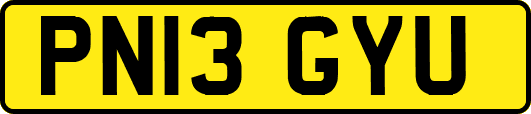 PN13GYU