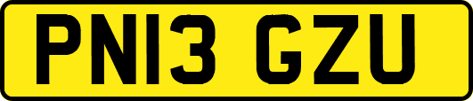 PN13GZU