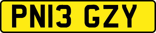 PN13GZY