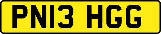 PN13HGG