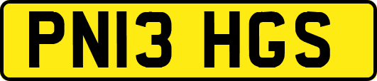 PN13HGS