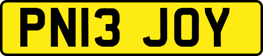 PN13JOY