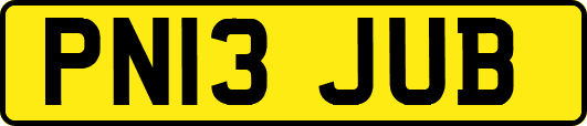 PN13JUB