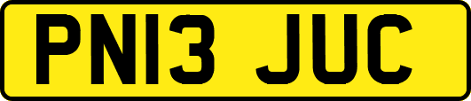 PN13JUC
