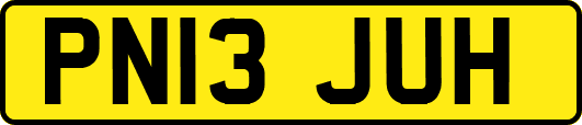 PN13JUH