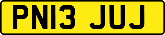 PN13JUJ